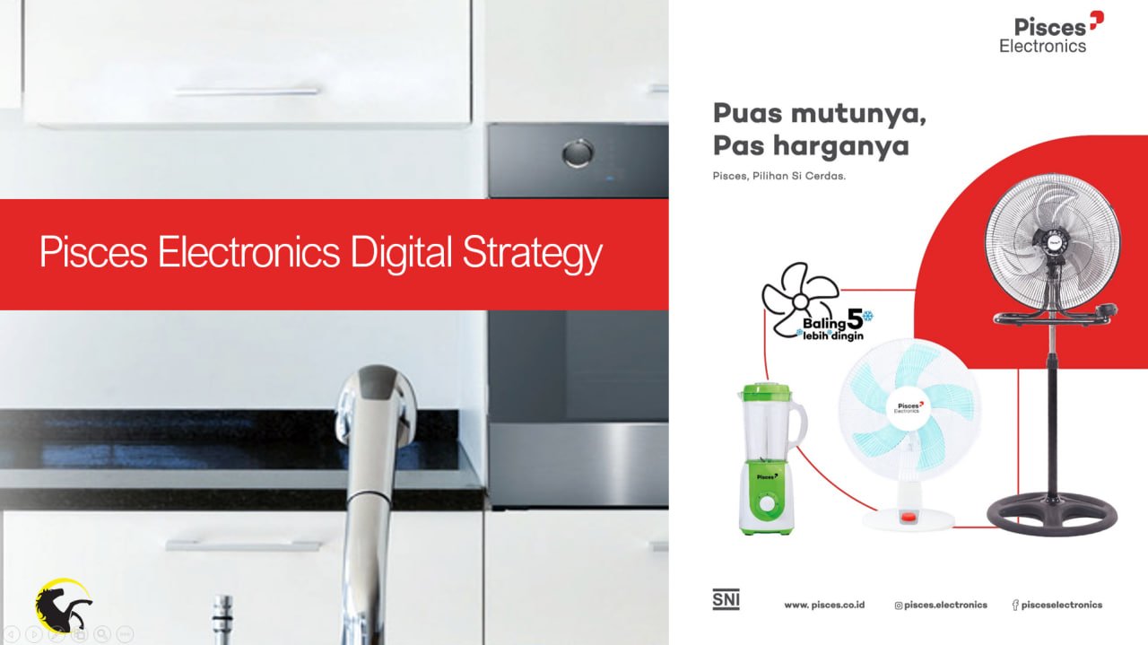 Pisces Electronics portfolio project